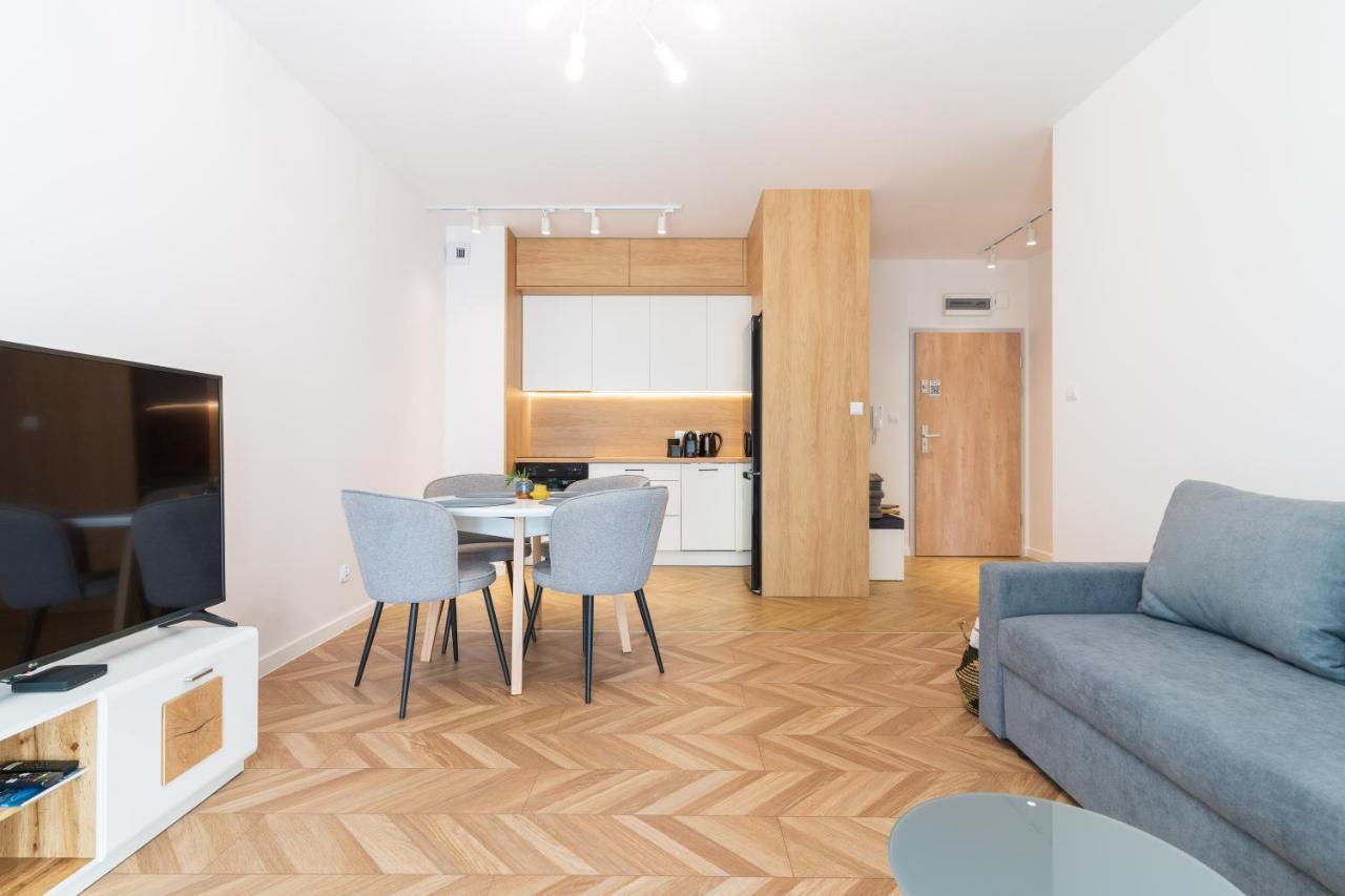 Over The River - Widok Na Rzeke, Przy Parku, Parking, Winda, Netflix I Max, Centrum Iława 外观 照片